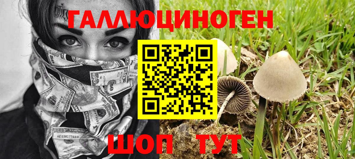Саранск  Псилоцибиновые грибы MAGIC MUSHROOMS  Вход с VPN 